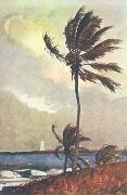 Winslow Homer Palm Tree, Nassau china oil painting reproduction